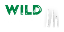 Wild Casino